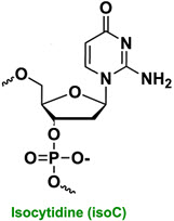 Bio-Synthesis Inc. Oligo Structure